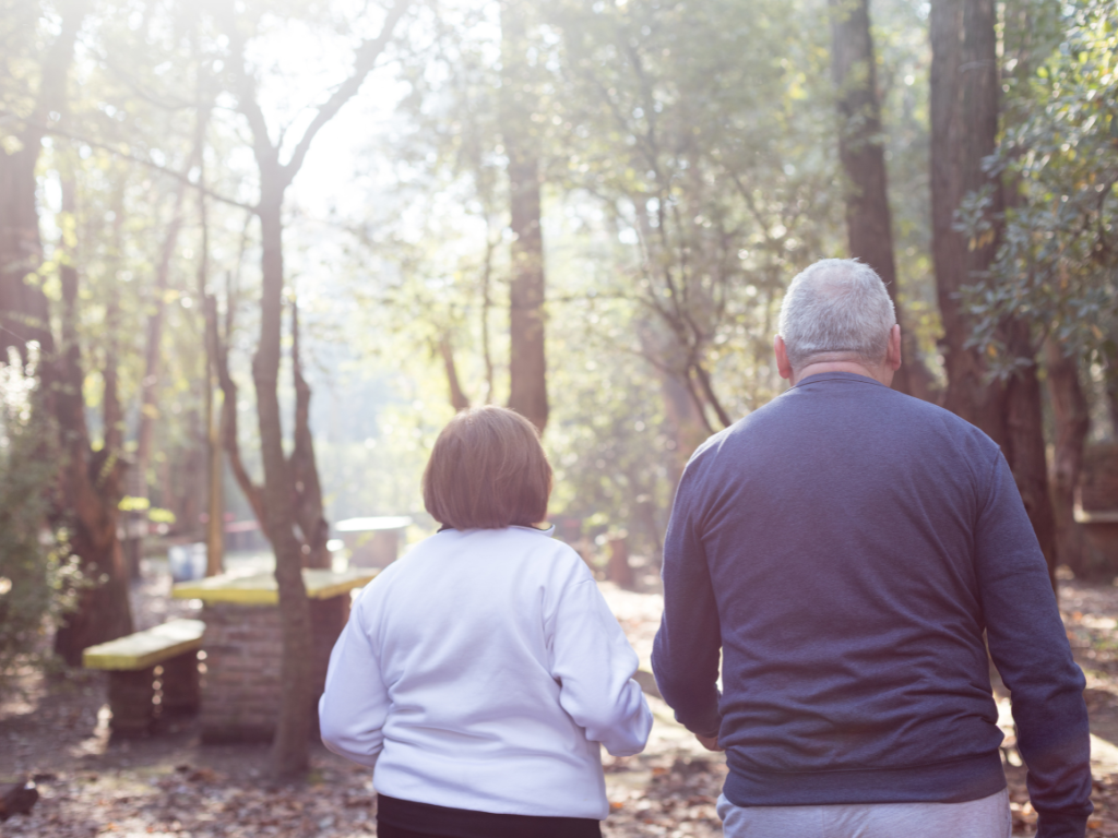 Casa Melo’s site plan 3