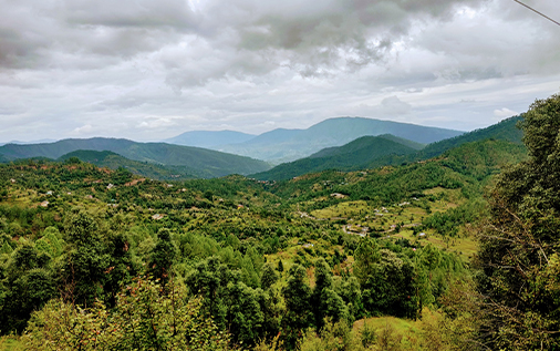 Specifications & Craftsmanship 11