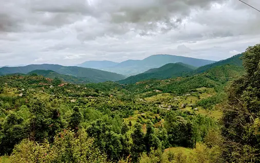 beautiful home near apple trees 1