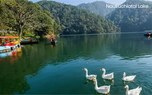 Naukuchiatal lake